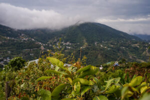 Parque Nacional Natural Los Farallones